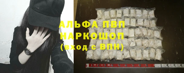 эйфоретик Гусев